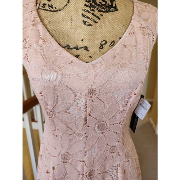 NWT, Chetta B, Pink Lace Dress, Size 6 - Picture 12 of 12